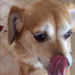 Meet your Posher, Alexander